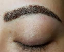 microblading permanent eyebrows