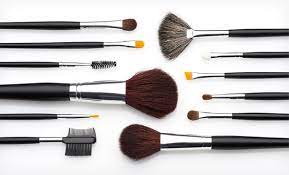 beauté basics makeup brush set