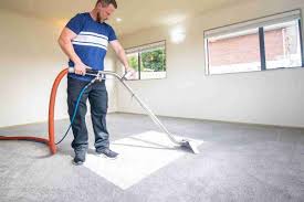 professional carpet cleaning auckland