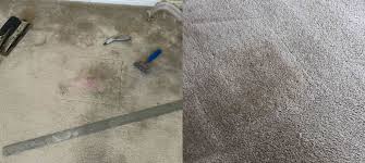 belton tx by csi carpet scene investigator
