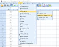 independent sles t test using spss