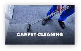 carpet cleaners tauranga superior