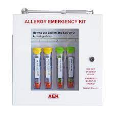 The Original Allergy Emergency Kit