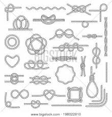 Nautical Rope Knots Vector Photo Free Trial Bigstock
