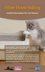 not using the litter box cat friendly