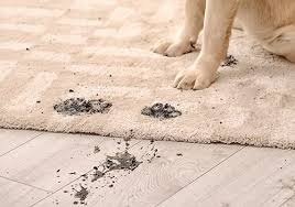 carpet cleaning las vegas near me