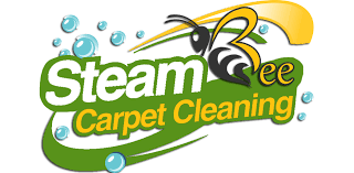 carpet cleaning services carpet steam