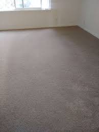 carpet cleaning layton ut sally s