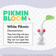 What do white pikmin do