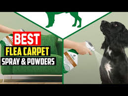 top 5 best flea carpet spray powders