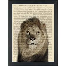 prints kaboo lion safari