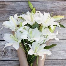 Flowers can be sent to individual grieving family members at their home. Pin On Random Tips Info