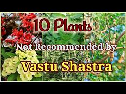 Vastu Shastra To Grow