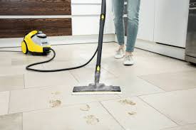 karcher steam cleaner