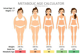metabolic age calculator 7 simple