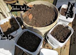 What Is The Best Manure For Gardens