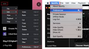 upload your own files to spotify