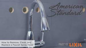 clean and replace a faucet spray head
