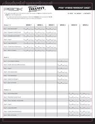 p90xÂ hybrid workout sheet