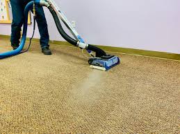 carpet cleaning gallery in north