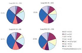 Figure 5 11 Patterns Of Tp53 Gene Mutations And Percentage