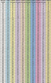 Weight Lifting Percentage Chart Pdf Bedowntowndaytona Com