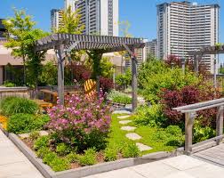 Lightweight Intensive Roof Garden Soil