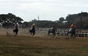 météo et courses de chevaux
