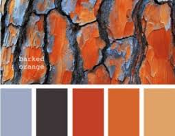 | page 2 of 5. Blue Burnt Orange Design Seeds Colour Pallete Color Schemes
