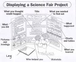 Science Fair Sample Displays