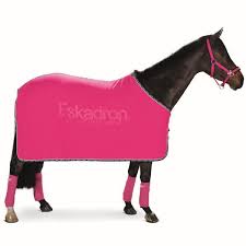 Keep your horse styling and comfortable with the great new fly mesh by eskadron. Eskadron Abschwitzdecke Fleece R E S R Fs19 Pinkholic Reitsport