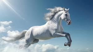 a white horse running in the air