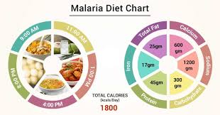 Diet Chart For Malaria Patient Diet For Malaria Chart