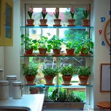 40 Smart Mini Indoor Garden Ideas