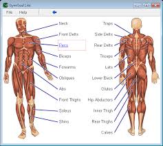 Helping You Figure Out What Parts Of Your Body Youd Like To