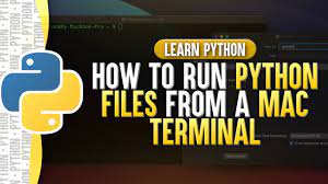 run python files from terminal mac
