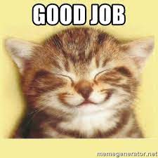 Share the best gifs now >>>. Good Job Very Happy Cat Meme Generator