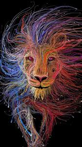 colorful lion wallpaper mobcup