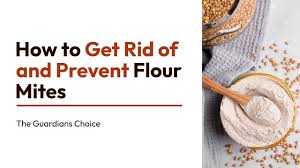 flour mite menace how to get rid of