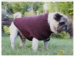 Knit Dog Sweater Pattern 6 Free