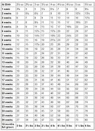 Weight Chart Chihuahua Weight Chart And Growth Chart Pet It