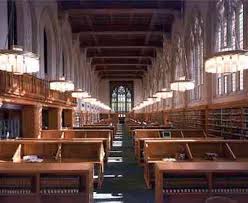 Yale law school essay  Essay Academic Service
