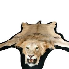 lion rug mount lpm13