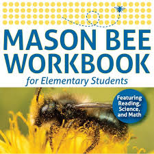 Teach Kids About Mason Bees How They
