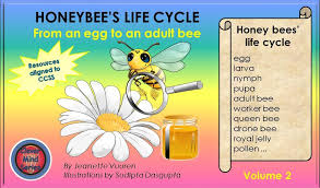 Science Honeybees Life Cycle Volume 2 Honey Bees Life