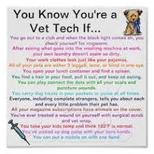 Discover and share cute vet quotes. Funny Vet Tech Quotes Quotesgram