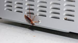 get rid of roaches from the kitchen