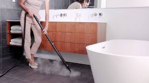 the 5 best steam cleaners 2023 review