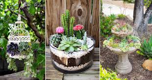 Mini Succulent Gardens For Small Spaces