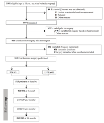 Recruitment Flow Chart Of The Study Participants Rygb Roux